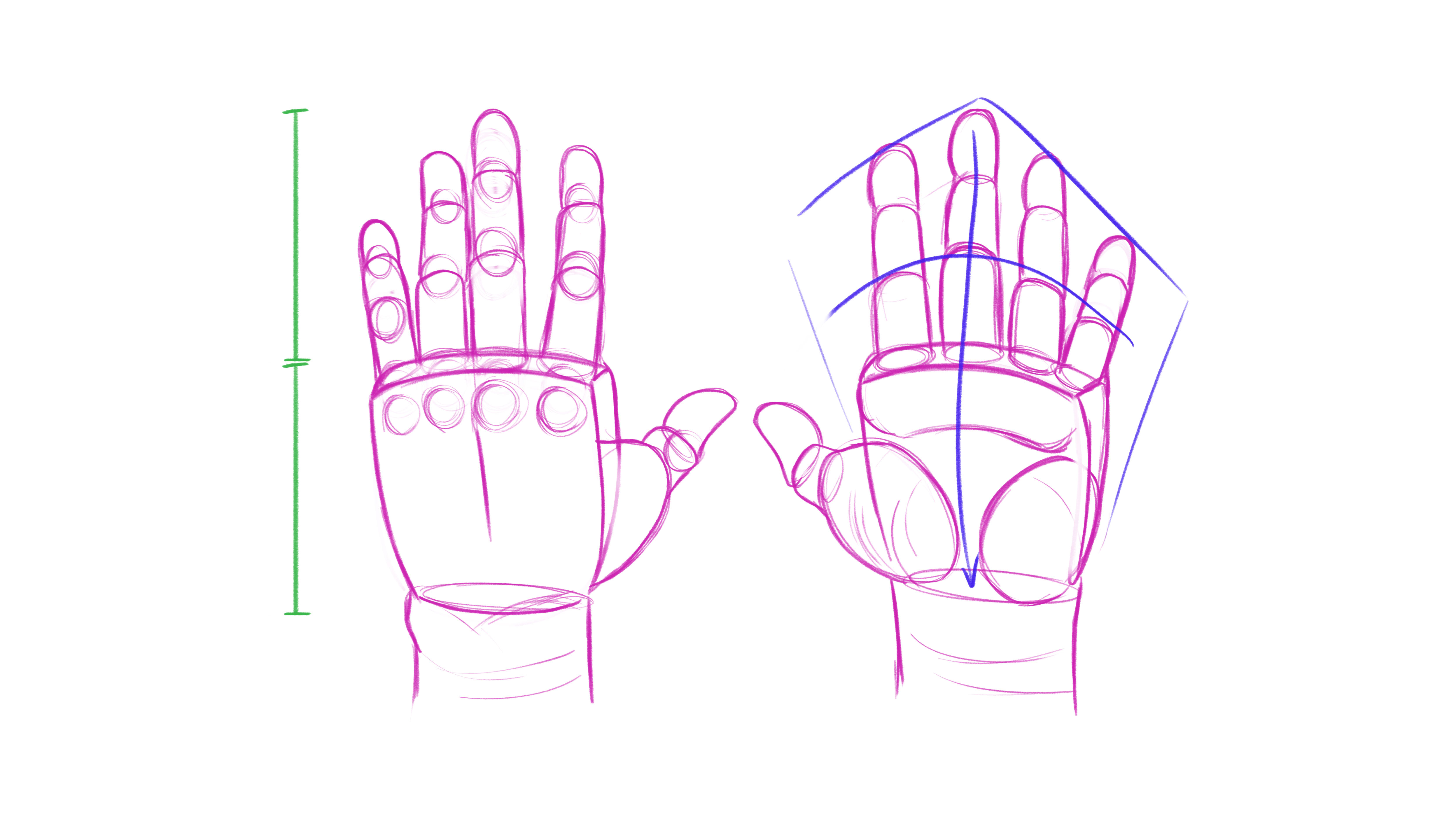Как нарисовать протянутую руку вперед