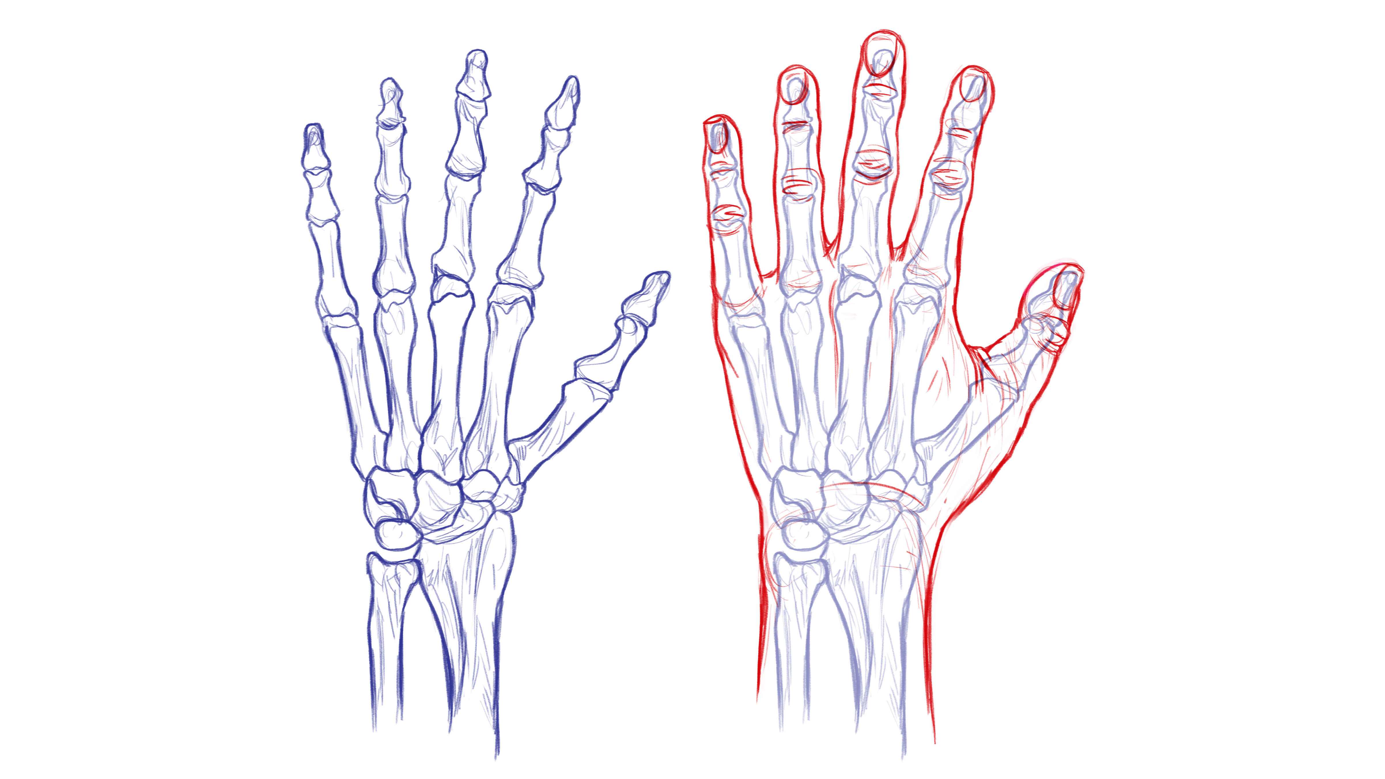 Как рисовать кости на руках